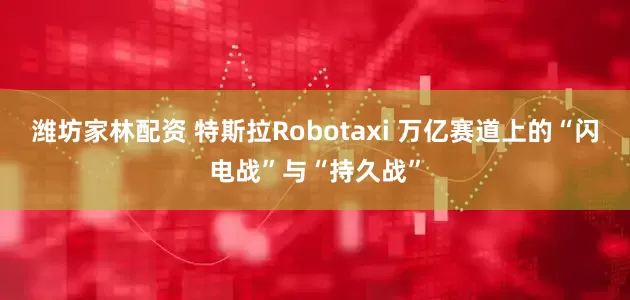 潍坊家林配资 特斯拉Robotaxi 万亿赛道上的“闪电战”与“持久战”