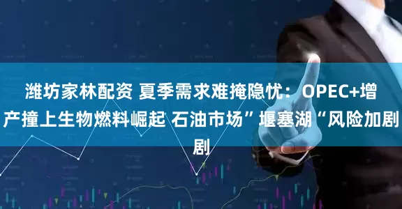 潍坊家林配资 夏季需求难掩隐忧：OPEC+增产撞上生物燃料崛起 石油市场”堰塞湖“风险加剧