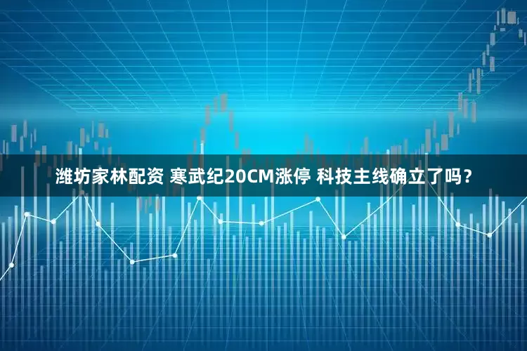 潍坊家林配资 寒武纪20CM涨停 科技主线确立了吗？